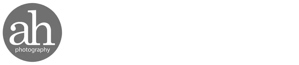 ahp commercial logo 2021